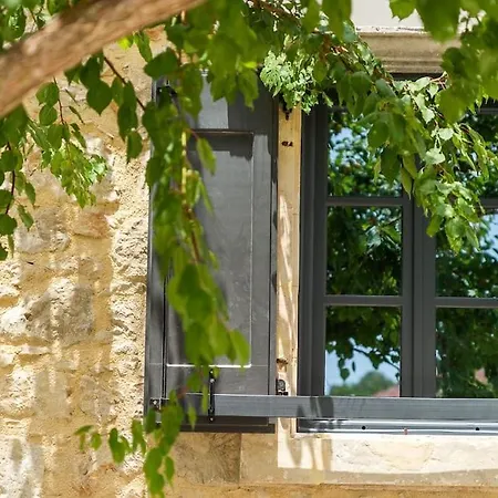 Aiolia * Kondoyenádha